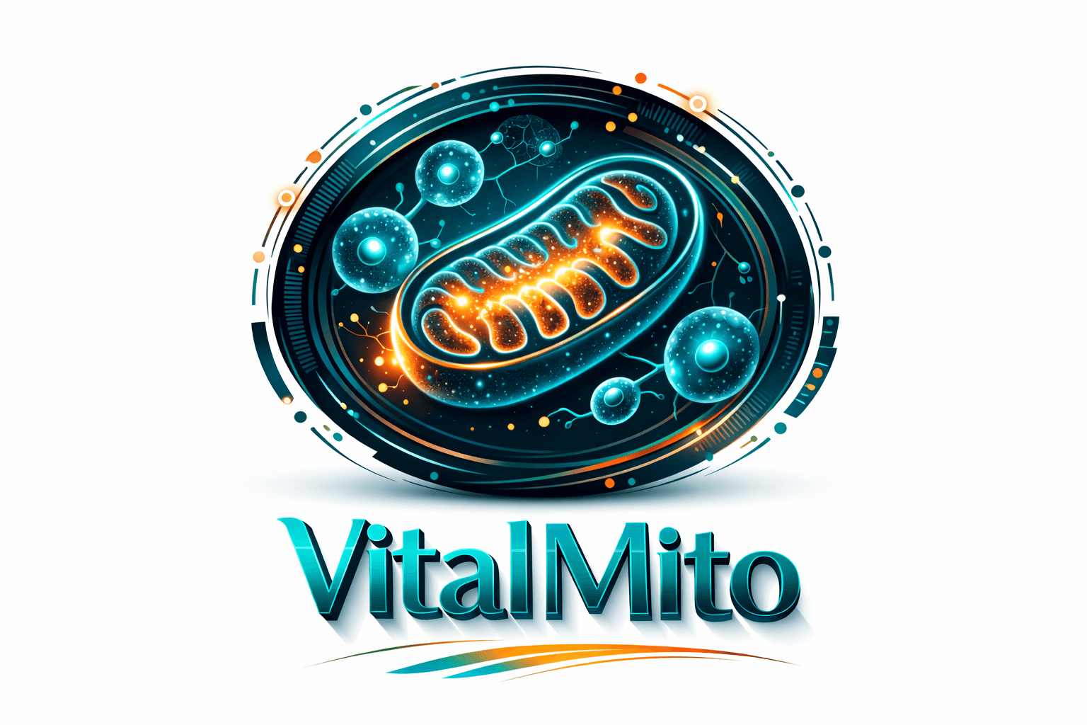 medical-spa-darmstadt-workshop-seminare